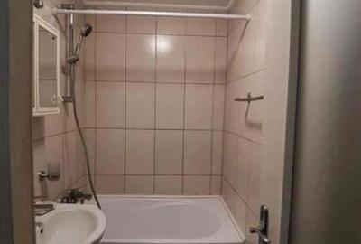 Apartament cu 2 camere decomandat în Parcul Circului - 5