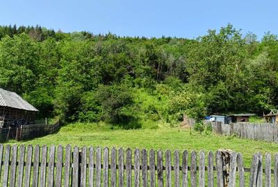 Spațiu comercial, în Valea Siliștii - 6