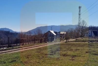 Teren intravilan de 4.000 mp în Bistrița – Alexandru cel Bun - 27