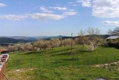 Teren de 2000 mp, în Talea - 5