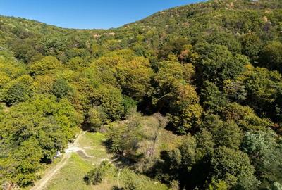 Terenuri 12.225 mp - Ramnicu Valcea, Aranghel - 5