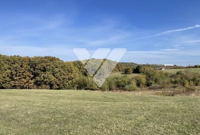 Teren extravilan 1342 mp zona linistita – Rasinari - Sibiu - 2