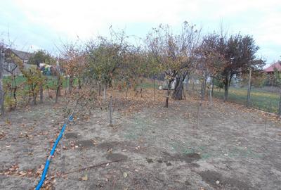 Casa cu spatiu comercial, Giarmata, 128mp util, teren 1670mp, com=0% - 2