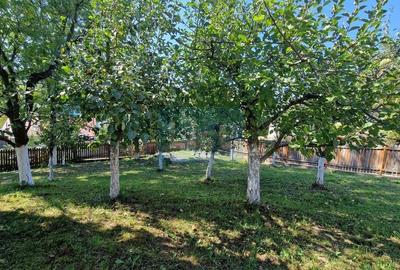 Casă cu 6 camere cu Garaj în Provița de Jos - 5