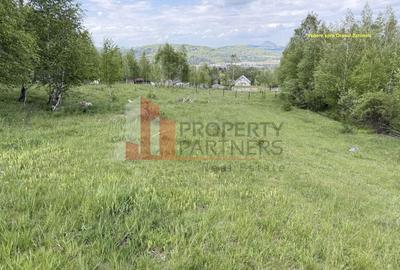 Teren Construcții intravilan de 5261 mp, în Tohănița - 7