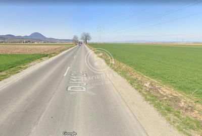 Vulcan- Teren Extravilan de Vanzare- 21280 mp - 7