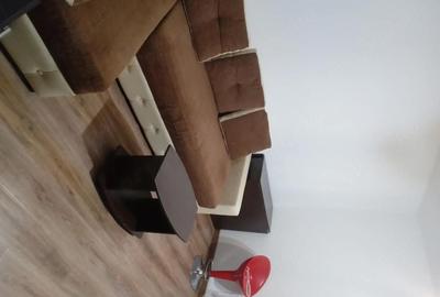 Garsonieră semidecomandată în Brazda lui Novac - 8