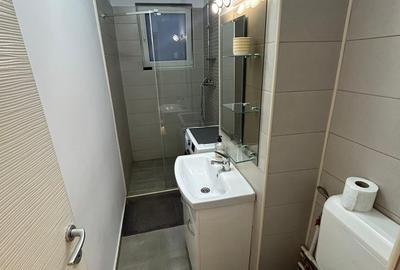 Garsonieră decomandată, mobilată în Nicolae Grigorescu - 8