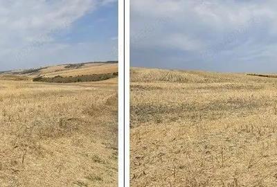 Teren Negureni, cota parte 1/8, ID: R2695094 - 2