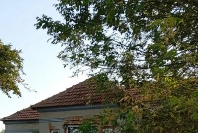 Casă cu 5 camere cu Teren 1948 Mp în Central - 8