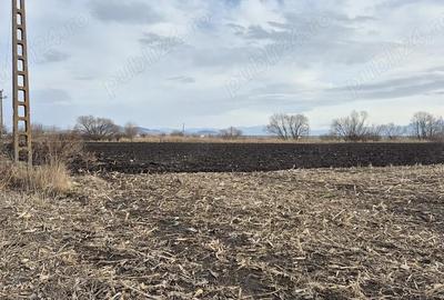 Teren de 45770 mp, în Stupini - 2