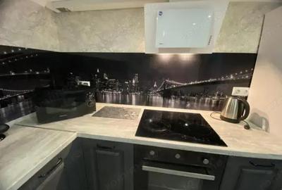 Oferim spre inchiriere garsoniera in zona Chitila - 2