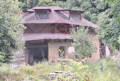 Casă cu 6 camere cu Teren 2700 Mp în Bradu - 14