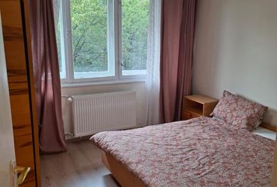 Apartament 2 camere Gheorgheni | alee bizușa | 5 min de iulius Mall| - 3