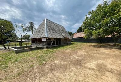 Loc casa , cu sura mare la munte in com Batrana Loc casa , cu sura mare la munte in com Batrana - 5