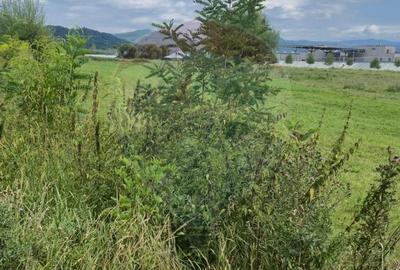 Teren 2,411mp Sighetu Marmatiei / Strada Teplitei - 3