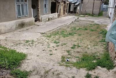 Casă cu 3 camere în Nicolae Bălcescu - 3