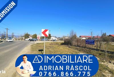 Spațiu comercial, de 900 mp, în Narciselor - 5