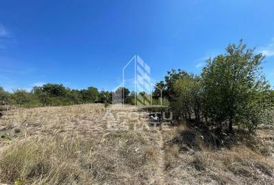 Casa cu teren 3407 mp, la asfalt, Seceani, 26 km de Timisoara. Casa cu teren 3407 mp, la asfalt, Seceani, 26 km de Timisoara. - 5