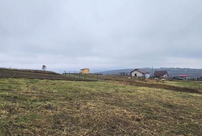 Teren de 656 mp, în Tomești - 8