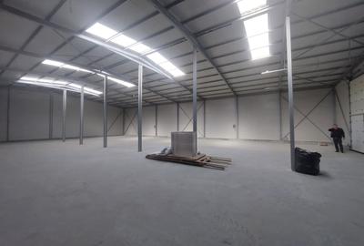 Spațiu industrial, de 580 mp, în Ovidiu - 7