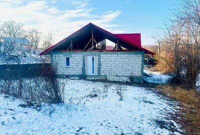 Casa de vanzare NISIPOASA-PLOPU,Jud Prahova - 7