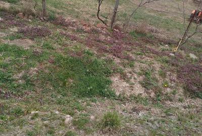 Spațiu comercial, în Central - 1