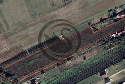 Teren de 12650 mp, în Ghirdoveni - 11