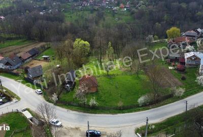 Casă cu 2 camere cu Teren 5800 Mp în Valea Danului - 6