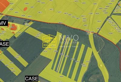 Teren de 5000 mp, în Sângeorgiu de Mureș - 3