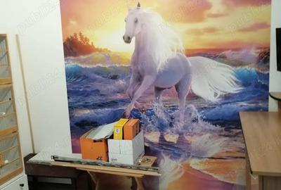 Apartament 4 camere decomandat, 2 bai, 1 boxa mare - Iasi - 8