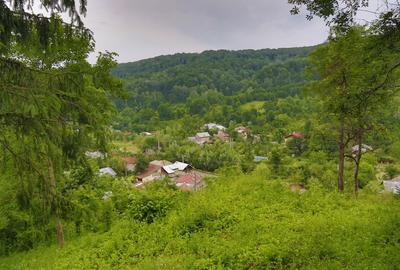 Teren Construcții intravilan în Telega - 1