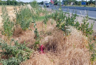 Teren Construcții intravilan de 34830 mp, în Frătești - 2