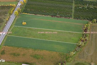 Spațiu comercial, în Central - 3