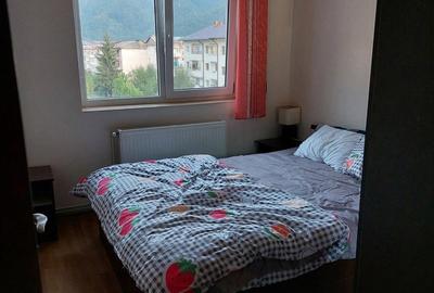 Apartament cu 3 camere semidecomandat în Brezoi - 8