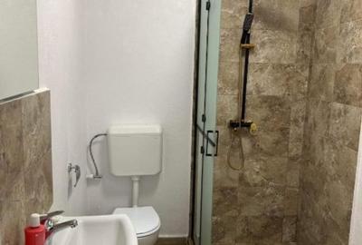 Casă individuală cu 3 camere cu Canalizare în Văliug - 4