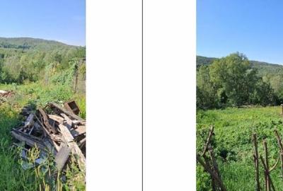 Casa si teren Apostolache, ID R2202581 - 2