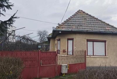 Casă cu 3 camere cu Teren 2000 Mp în Criș - 3