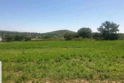 Teren de 7000 mp, în Telița - 5