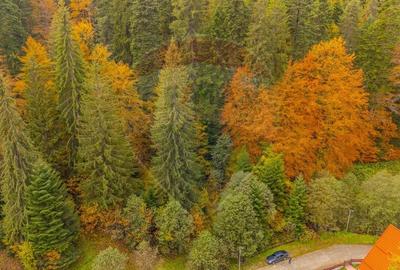 Comision 0 | Teren intravilan de vanzare - Predeal, Brasov 908 mp - 6