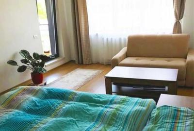 Garsonieră decomandată, mobilată în Grozăvești - 2