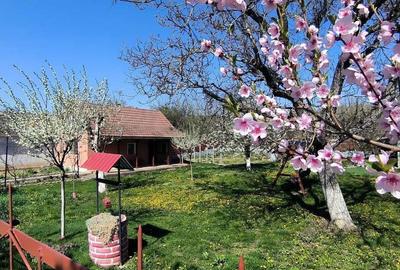 Casă cu 2 camere în Sântimreu - 8