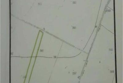 Teren de 12490 mp, în Catane - 2