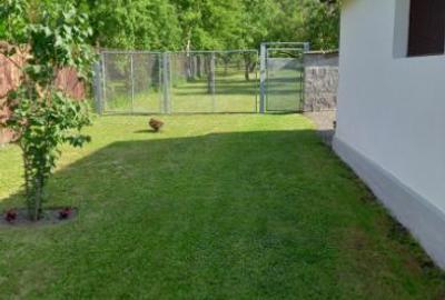 Casa zona ultracentrală, vis-a-vis PENNY Săcele, 2000 mp - 8