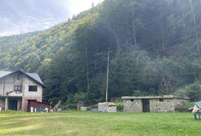 Pensiune montana cu 3200 mp teren in Bicaz, judet Neamt Pensiune montana cu 3200 mp teren in Bicaz, judet Neamt - 10