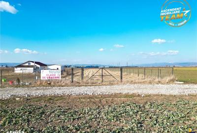 Spațiu comercial, în Chilieni - 8