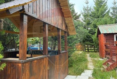 Cabana Marisel aproape de partia de ski- COMISION 0% - 3