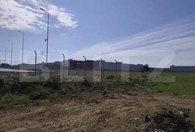 Teren de 10000 mp, în Nufărul - 4