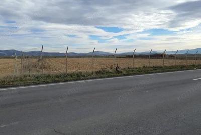 Teren Intravilan Industrial - 3