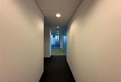 Spatii de birouri in Pipera Business Tower  de la 210 mp - 15